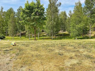 Holiday house Molkom  20