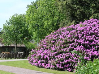 Vakantiehuis Molkom  16