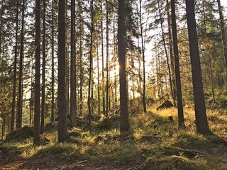 Vakantiehuis Molkom  30