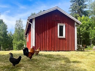 Vakantiehuis Molkom Buitenaudio-opname 13