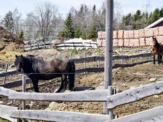 Holiday house Welt  15