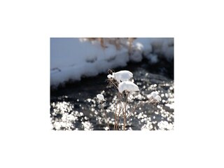 Ferienhaus Hasselfelde Umgebung 18