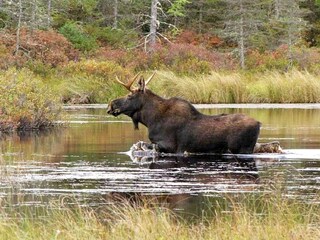 Ferienhaus Hedekas  20