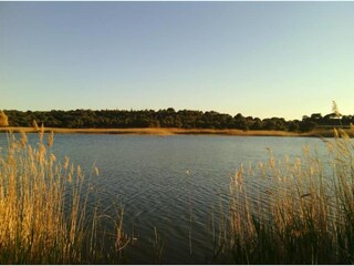 Maison de vacances Welt Environnement 32