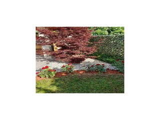 Villa Šapjane Registrazione all'aperto 4