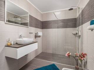 Villa Šapjane Features 25