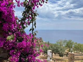 Holiday cottage Albuñol Outdoor Recording 7