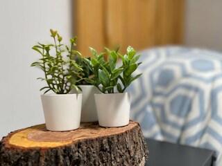 Casa de vacaciones Albuñol  37