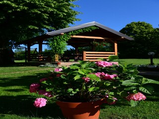 Apartment Grabovac Außenaufnahme 7