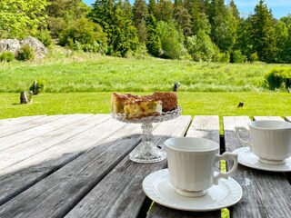 Holiday house Färgelanda  21