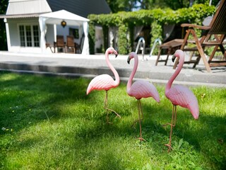Casa de vacaciones Zorgvlied Grabación al aire libre 10