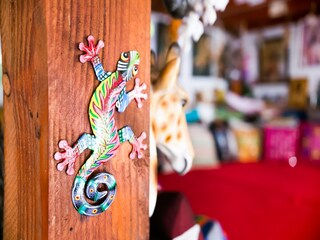 Casa de vacaciones Zorgvlied  38