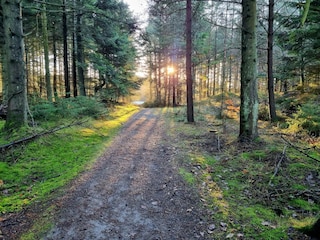 Casa de vacaciones Rødhus  5