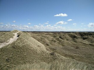 Ferienhaus Rødhus  40