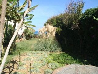 Apartment Bali auf Kreta Außenaufnahme 6