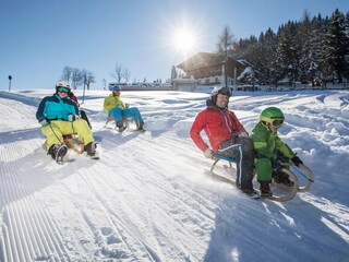 Appartamento Auffach Ambiente 27