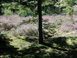 Casa de vacaciones Aalbæk  3