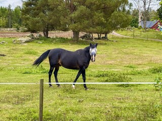 Vakantiehuis Högsby Buitenaudio-opname 8