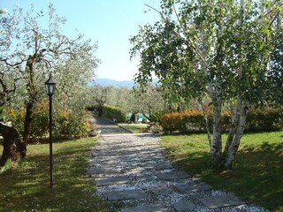 Vakantiehuis Pistoia Buitenaudio-opname 11