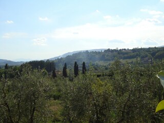 Casa de vacaciones Pistoia Entorno 35