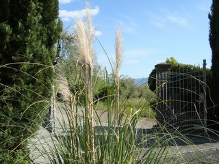 Ferienhaus Pistoia  41