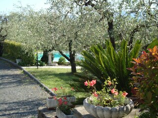 Ferienhaus Pistoia Außenaufnahme 13