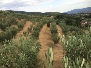 Ferienhaus Pistoia Umgebung 33