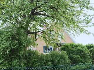 Holiday house Falkenberg (Schweden) Outdoor Recording 3