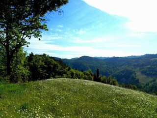 Appartamento Tredozio Ambiente 20