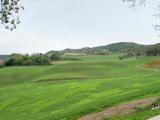 Apartamento Tredozio Entorno 24