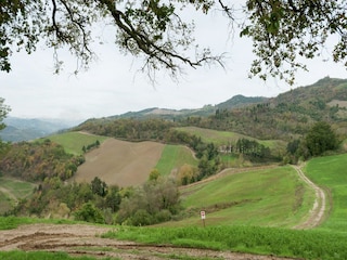 Appartement Tredozio Omgeving 22