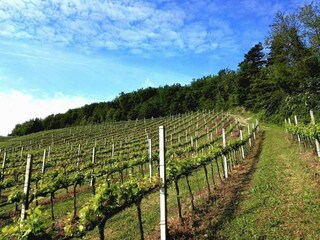 Appartamento Tredozio  26