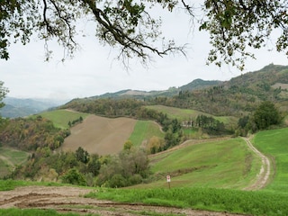 Apartment Tredozio Environment 23