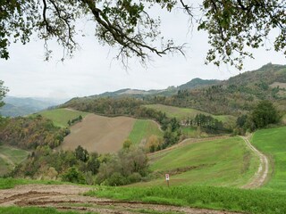 Appartamento Tredozio Ambiente 23