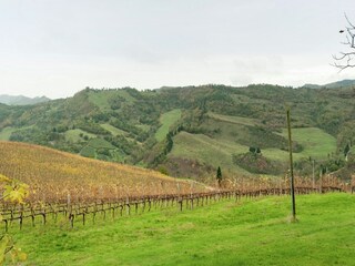 Appartamento Tredozio Ambiente 24