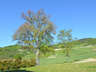 Appartamento Tredozio Registrazione all'aperto 7