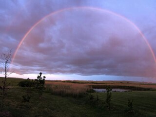 Holiday house Thisted  15