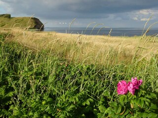 Vakantiehuis Thisted  22