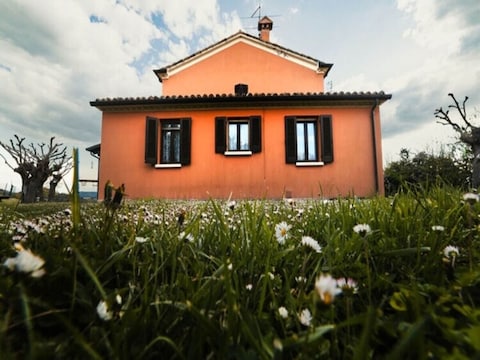 Apartment Ferienhaus in Urbania mit Garten und Grill