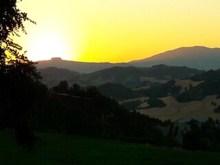 Apartment Urbania Umgebung 22