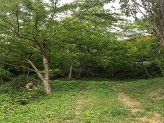 Apartment Urbania Umgebung 14