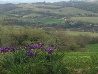 Apartment Urbania Umgebung 25