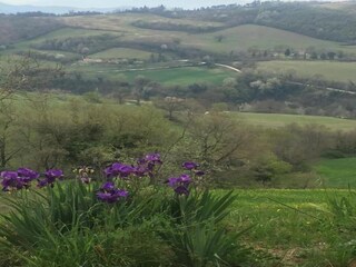 Appartement Urbania Omgeving 25