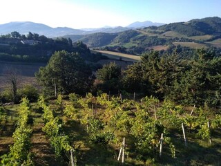 Appartamento Urbania Ambiente 18