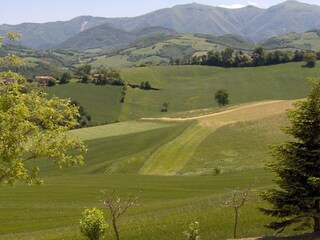 Appartamento Urbania Ambiente 19