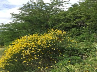 Appartement Urbania Environnement 16