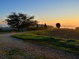 Apartment Urbania Environment 14