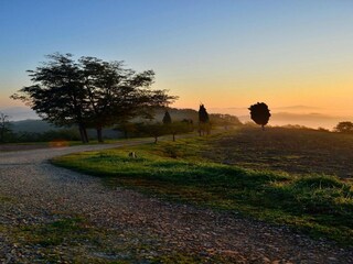 Appartamento Urbania Ambiente 15