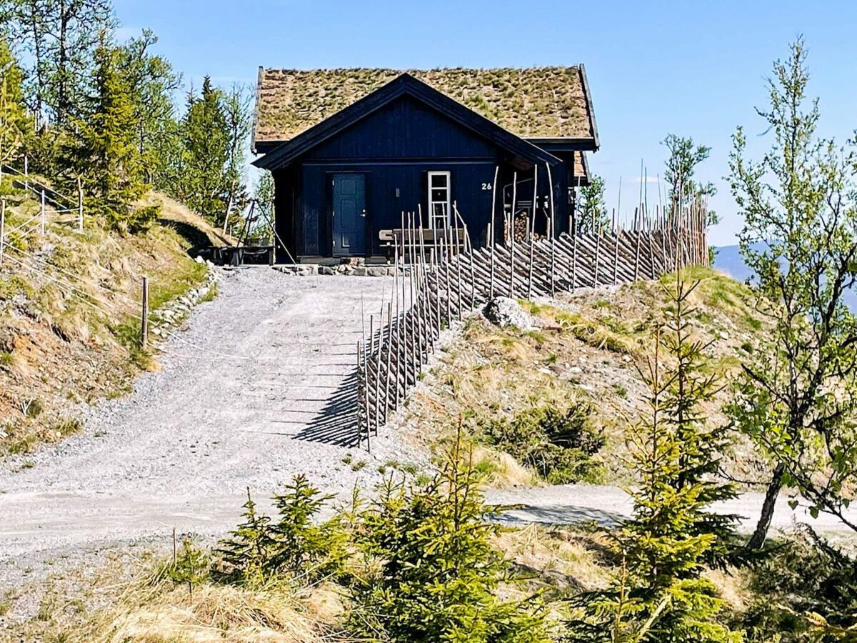 Ferienhaus Nesbyen Außenaufnahme 1