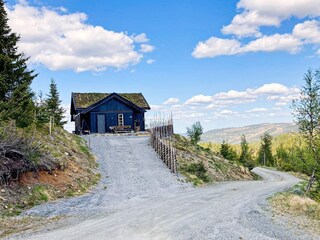 Vakantiehuis Nesbyen Buitenaudio-opname 1